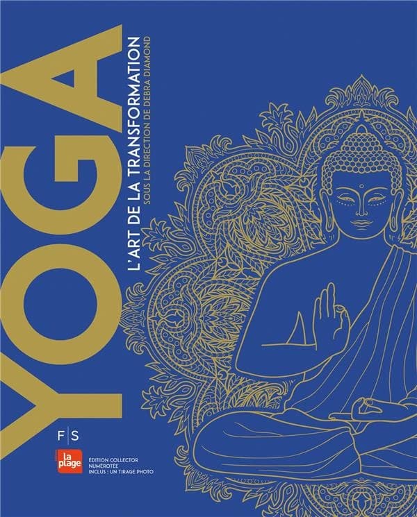 Yoga : l'art de la transformation : 2500 ans d'histoire du yoga (Éd. collector) David Gordon White, Tamara I. Sears, Carl W. Ernst... [et al.] ; avec la contribution de Molly Emma Aitken, Christopher Key Chapple, Robert DeCaroli... [et al.] ; [sous la dir