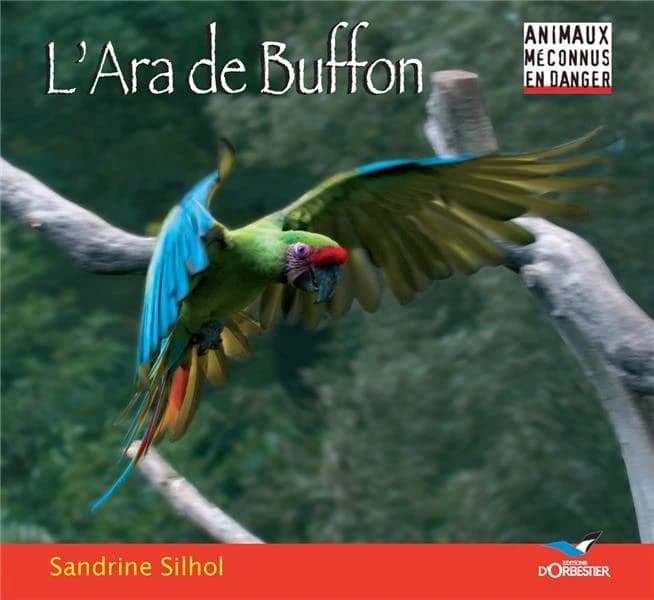 L'ara de Buffon