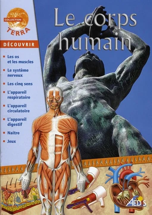 Le corps humain