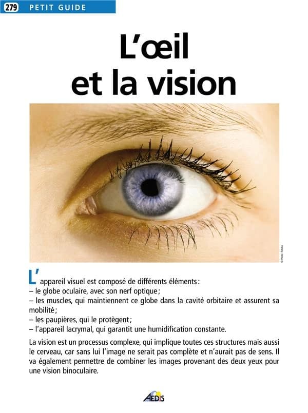 L'oeil et la vision