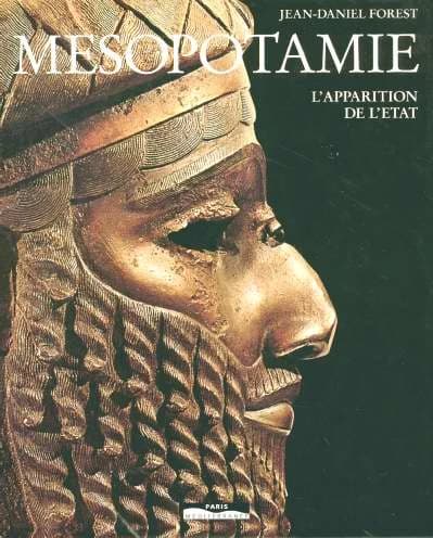Mésopotamie : l'apparition de l'État, VIIe-IIIe millénaires (Édition française) Jean-Daniel Forest