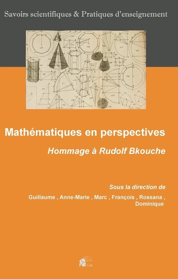 Mathématiques en perspectives : hommage à Rudolf Bkouche