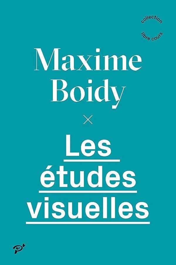 Les études visuelles