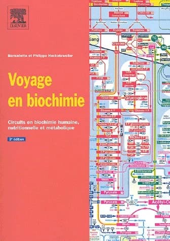 Voyage en biochimie : circuits en biochimie humaine, nutritionnelle et métabolique (3e éd.) Bernadette et Philippe Hecketsweiler