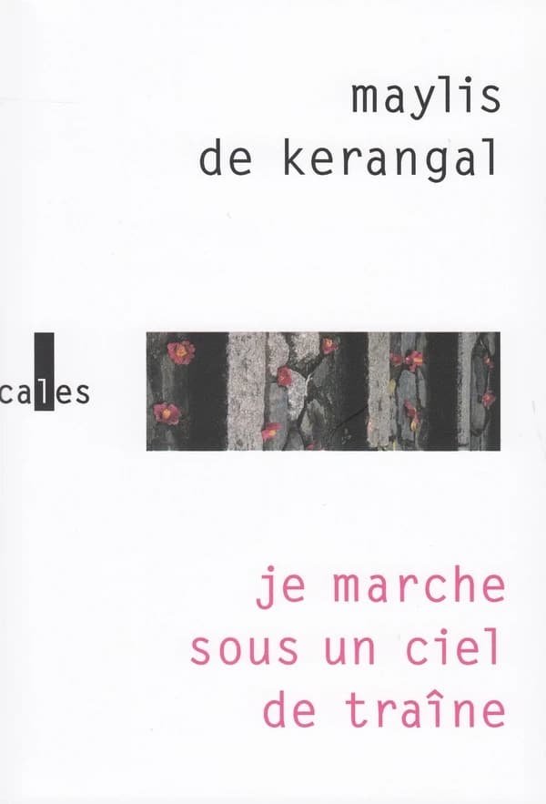 Je marche sous un ciel de traîne : roman