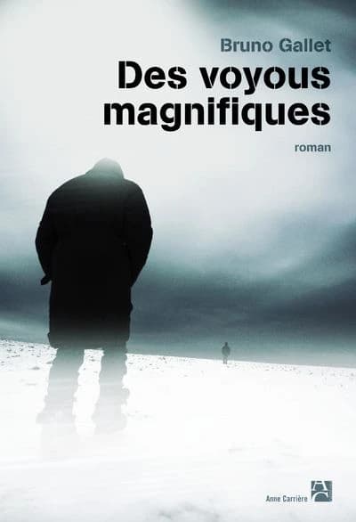 Des voyous magnifiques