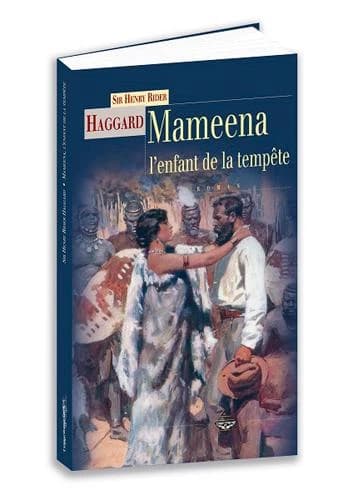 Mameena, l'enfant de la tempête : roman