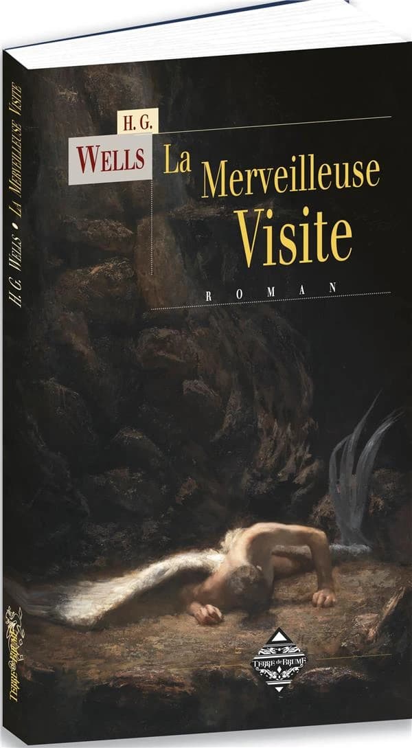 La merveilleuse visite