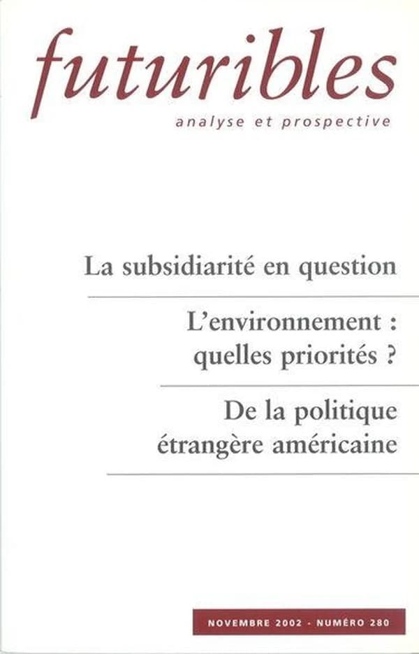 LA SUBSIDIARITE EN QUESTION
