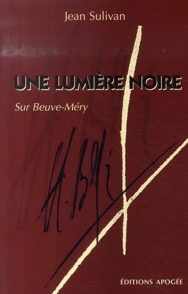 Une lumière noire : sur Beuve-Méry