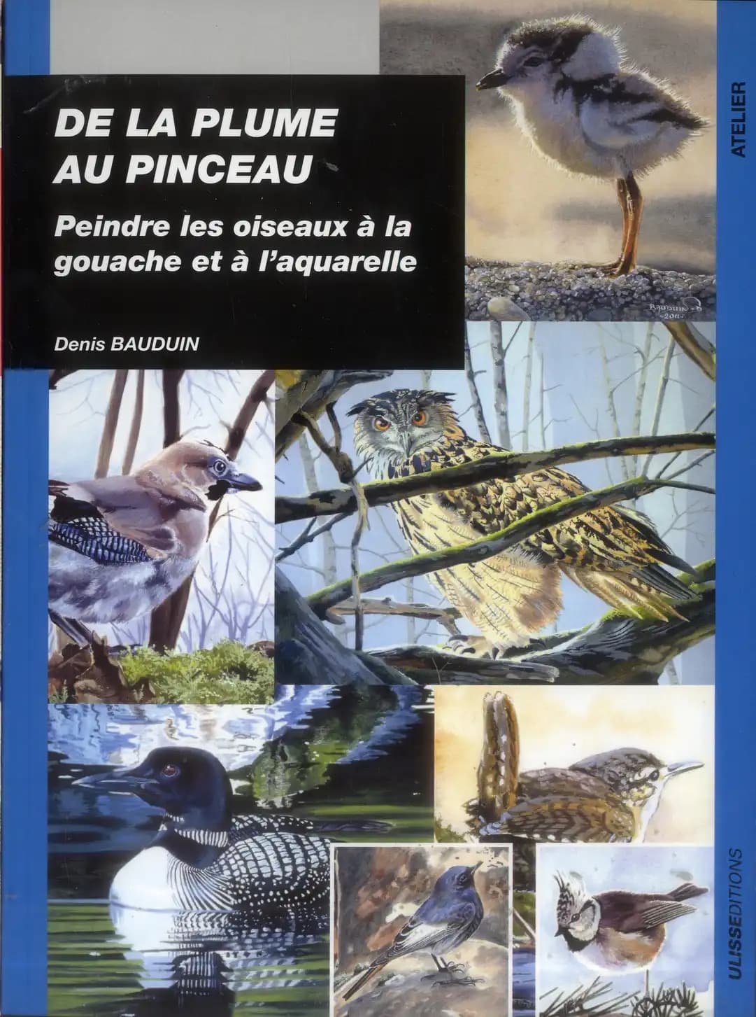 De la plume au pinceau : peindre les oiseaux à la gouache et à l'aquarelle
