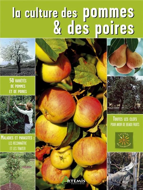 La culture des pommes & des poires