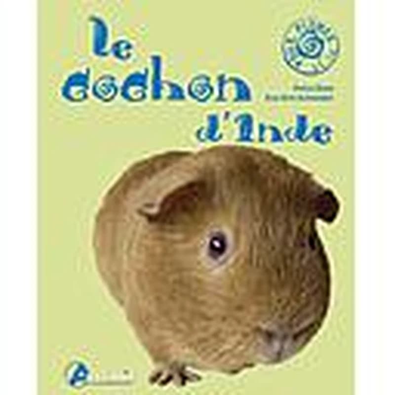 Le cochon d'Inde