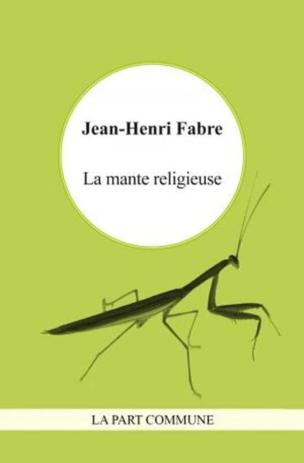 La mante religieuse