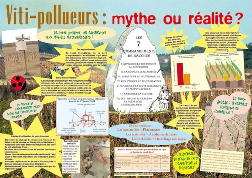 Viti-pollueurs : mythe ou réalité ? : agronomie