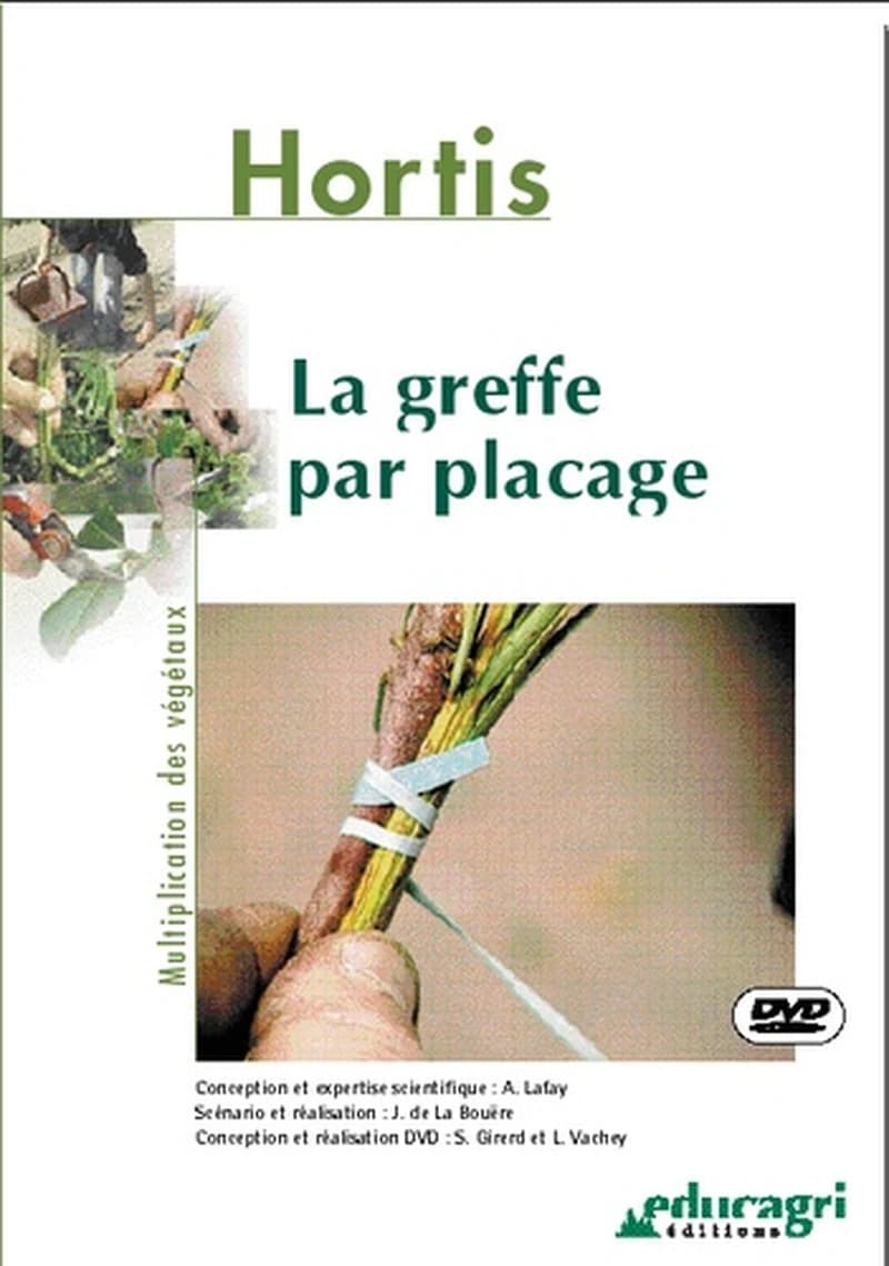 La greffe par placage