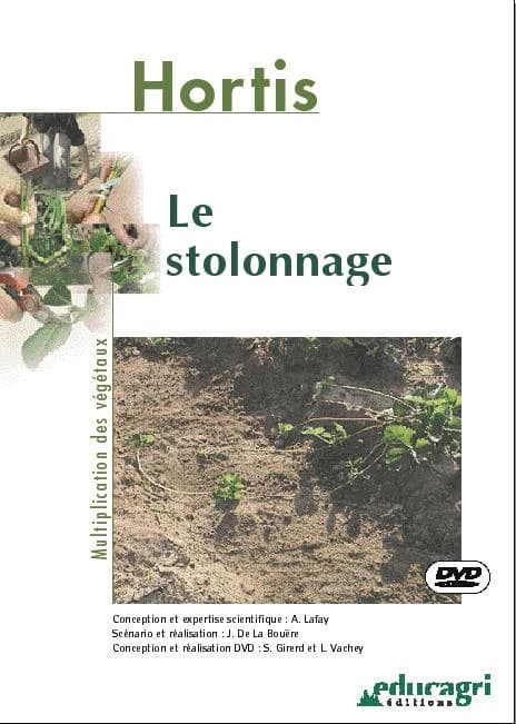 Le stolonnage