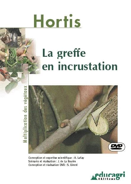 La greffe en incrustation