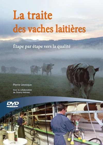 La traite des vaches laitières : étape par étape vers la qualité