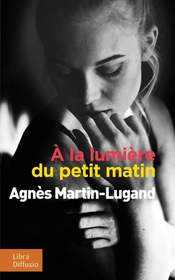 À la lumière du petit matin ([Éd. en gros caractères]) Agnès Martin-Lugand