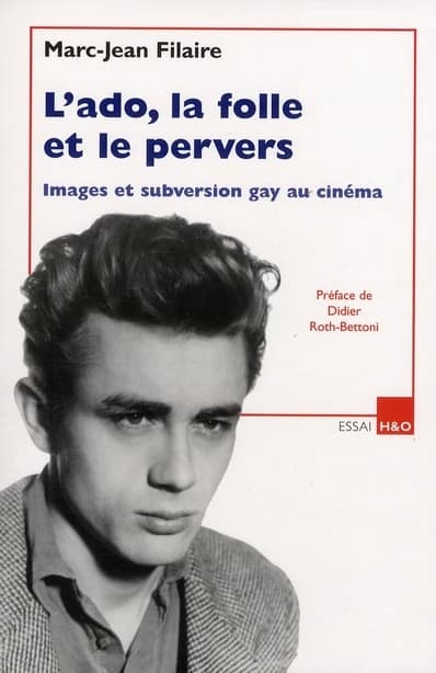 L'ado, la folle et le pervers : images et subversion gay au cinéma : essai