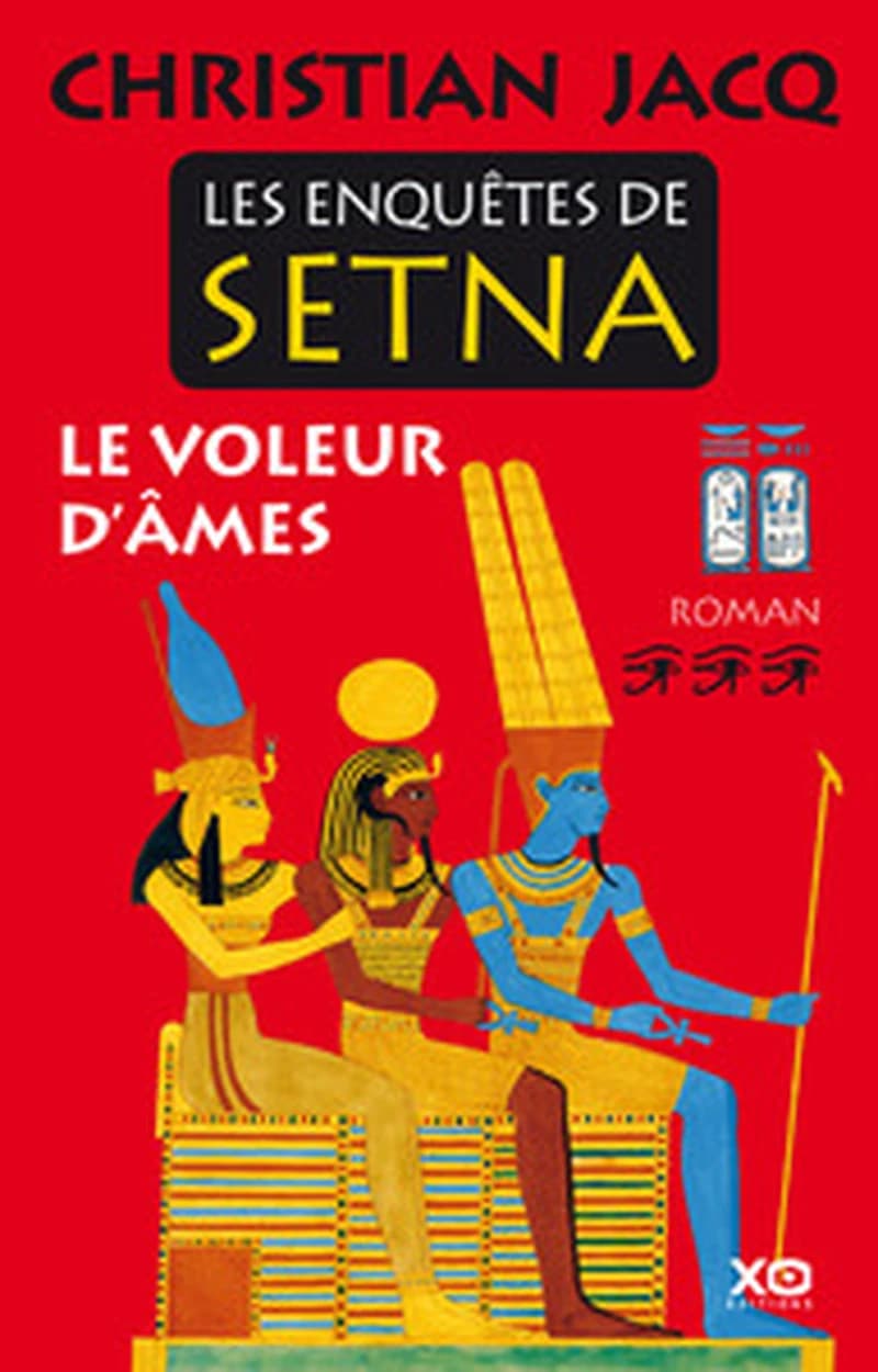 Le voleur d'âmes : roman