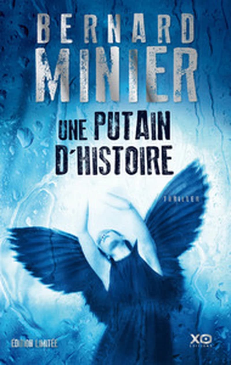 Une putain d'histoire : roman