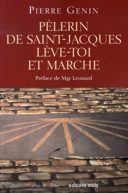 Pèlerin de Saint-Jacques, lève-toi et marche ! : Pour une spiritualité du pèlerinage de saint-Jacques de Compostelle