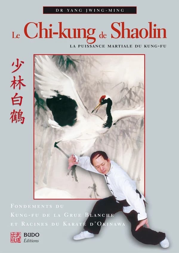 Le Chi-kung de Shaolin : la puissance martiale du kung-fu