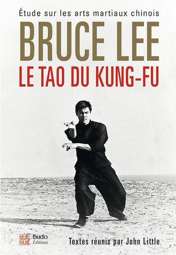 Le tao du kung-fu : études sur les arts martiaux chinois