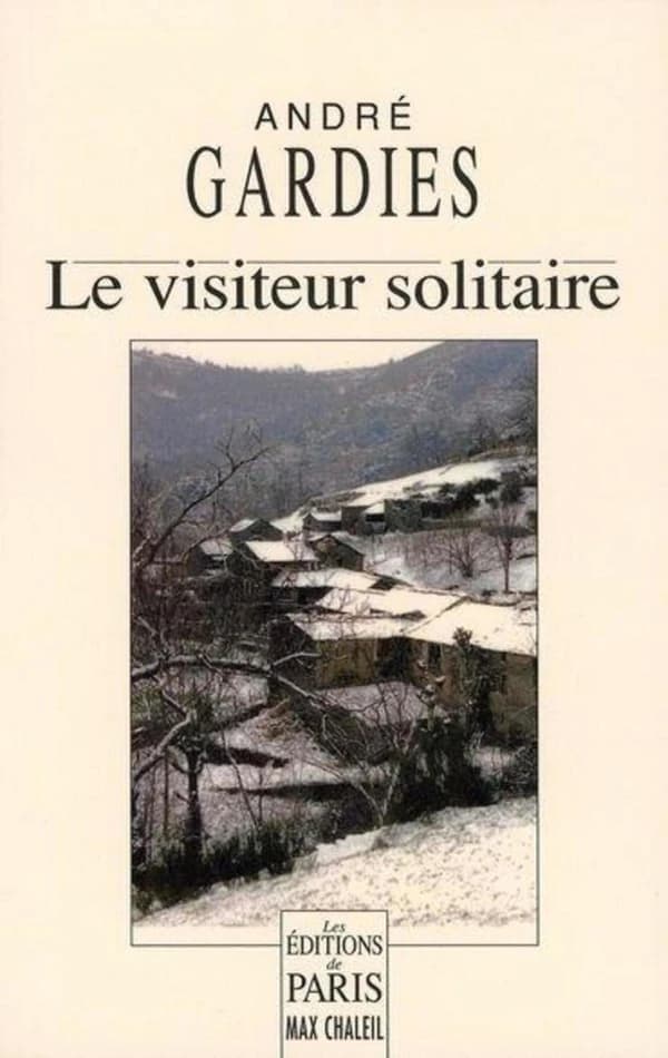 Le visiteur solitaire : roman