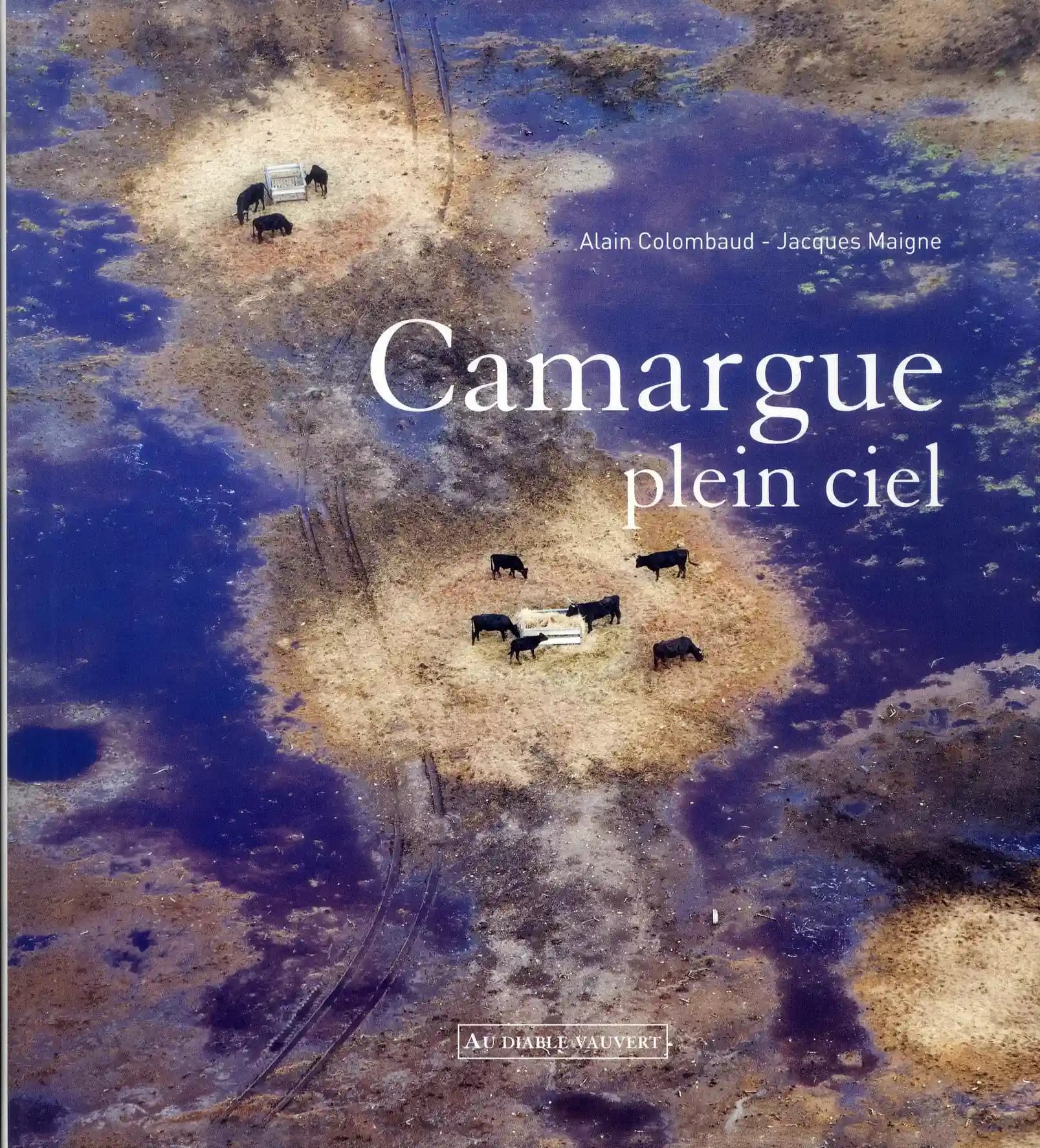 Camargue plein ciel