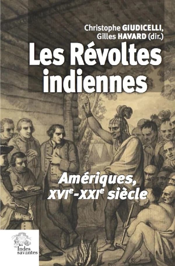 Les révoltes indiennes ; Amériques, XVIe-XXIe siècle