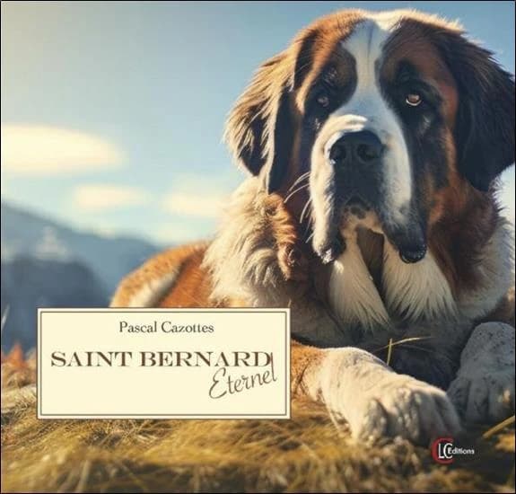 Saint-Bernard éternel