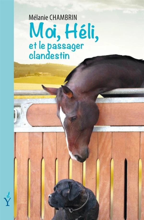 Moi, Héli, et le passager clandestin