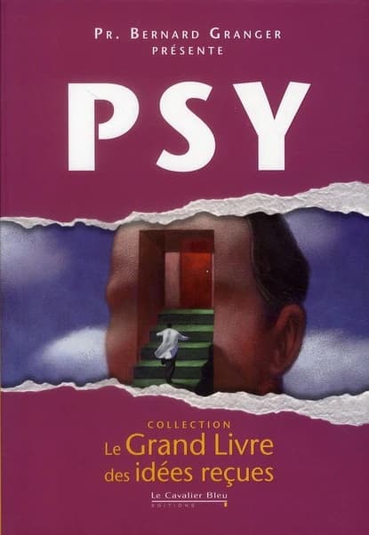 Psy : le grand livre des idées reçues