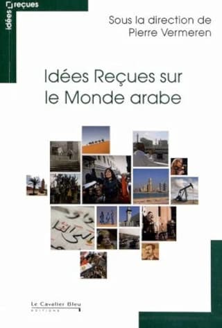Idées reçues sur le monde arabe