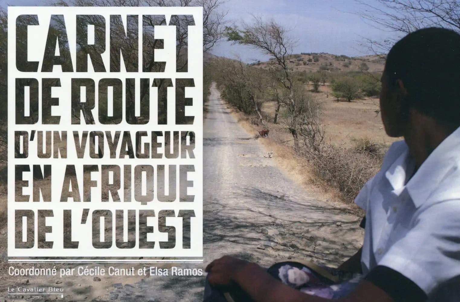 Carnet de route d'un voyageur en Afrique de l'Ouest