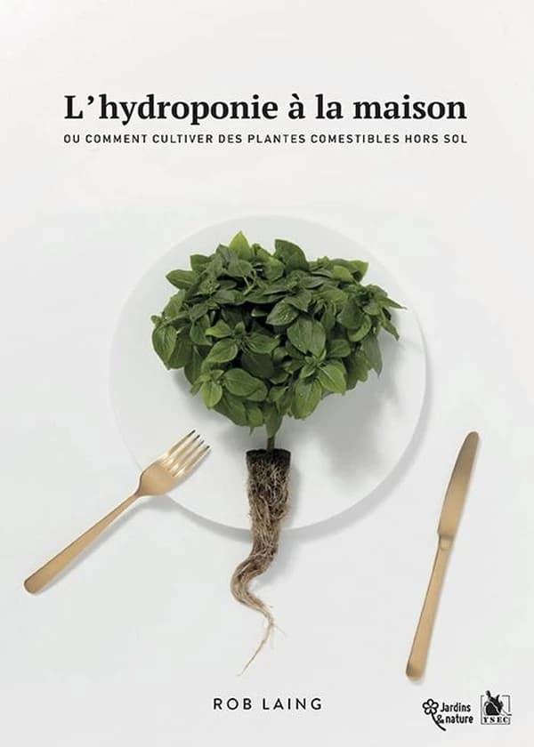 L'hydroponie à la maison : ou comment cultiver des plantes comestibles hors sol