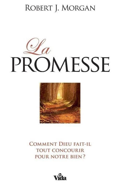 La promesse : comment Dieu fait-il tout concourir pour notre bien ?