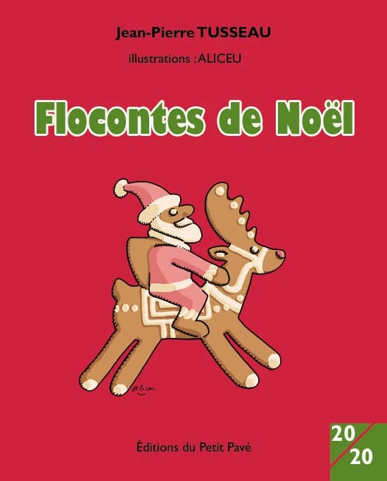 Flocontes de Noël