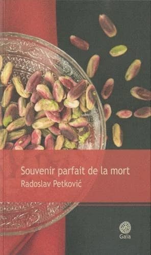 Souvenir parfait de la mort : roman