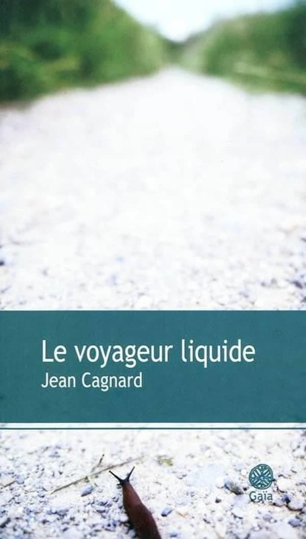 Le voyageur liquide : roman