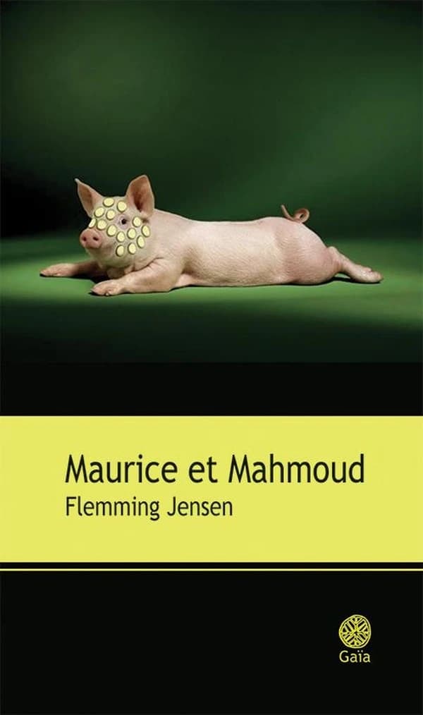 Maurice et Mahmoud : roman
