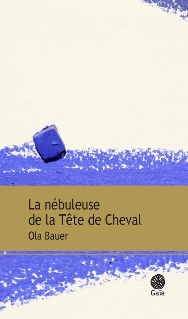 La nébuleuse de la Tête de cheval : roman