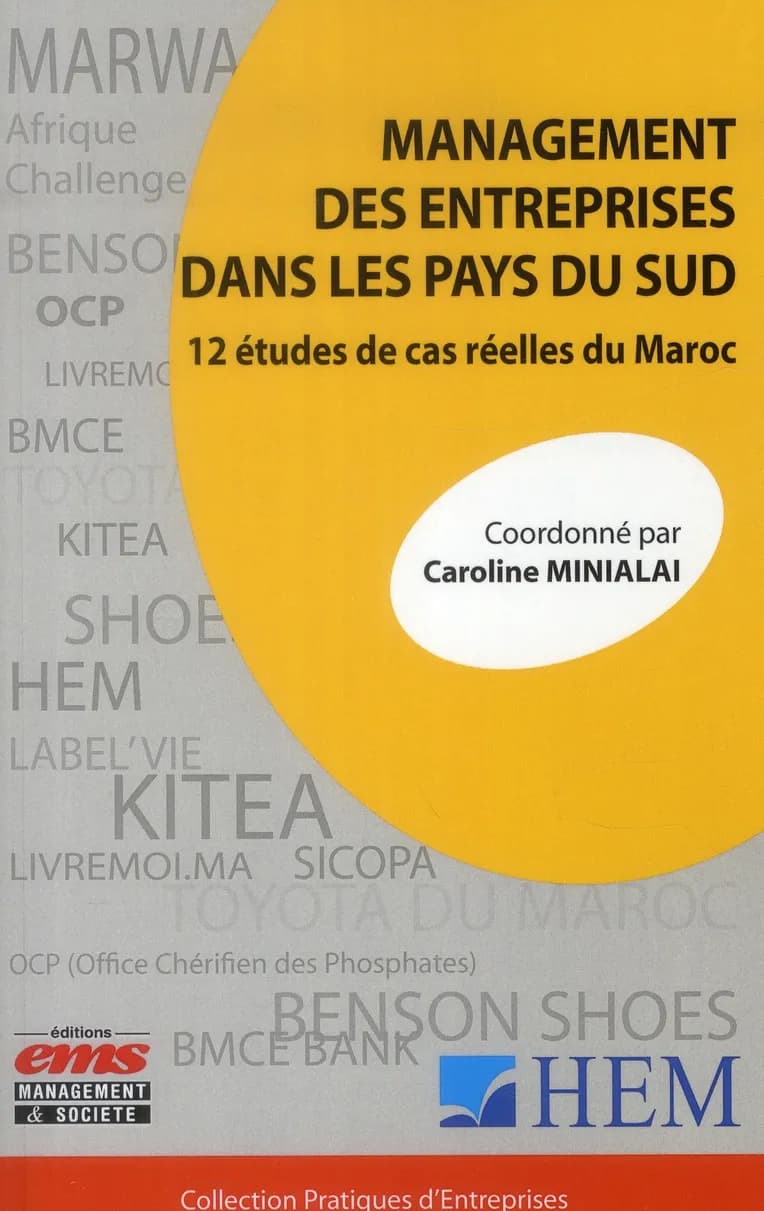 Management des entreprises dans les pays du Sud : 12 études de cas réelles du Maroc