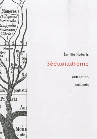 Séquoiadrome