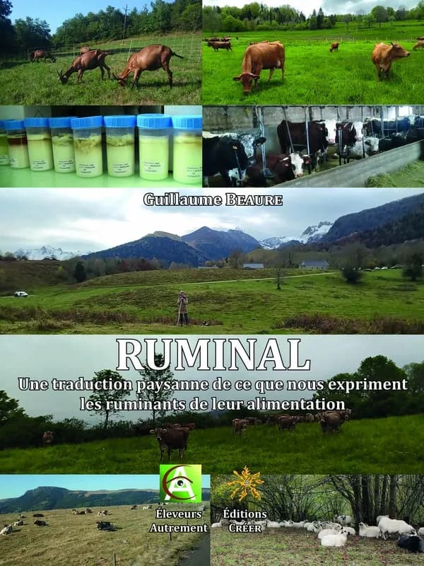 Ruminal : une traduction paysanne de ce que nous expriment les ruminants de leur alimentation