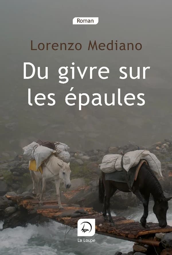Du givre sur les épaules ([Éd.] en gros caractères) Lorenzo Mediano ; traduit de l'espagnol par Hélène Michoux