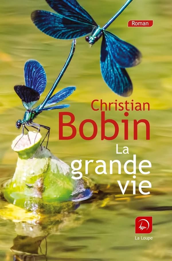 La grande vie ([Éd.] en gros caractères) Christian Bobin
